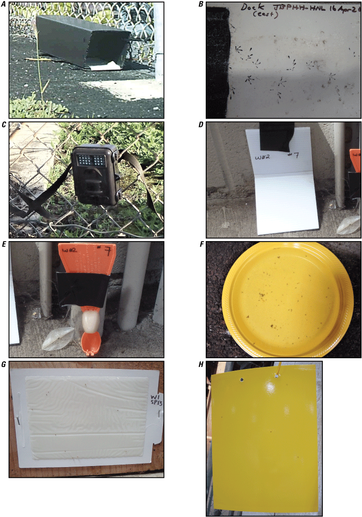12. A representation of biosecurity tools used.