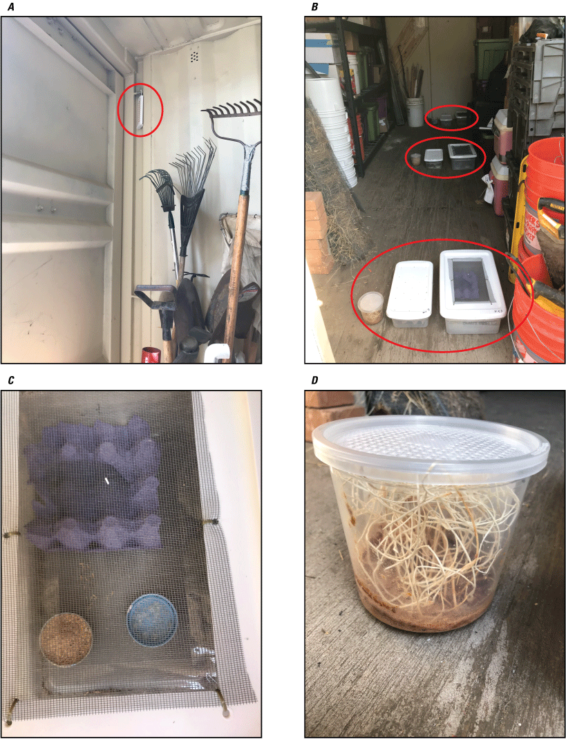 13. Representation of a pest strip, insect enclosures, insect enclosure with dishes
of chow used, and a container with fruit fly medium..