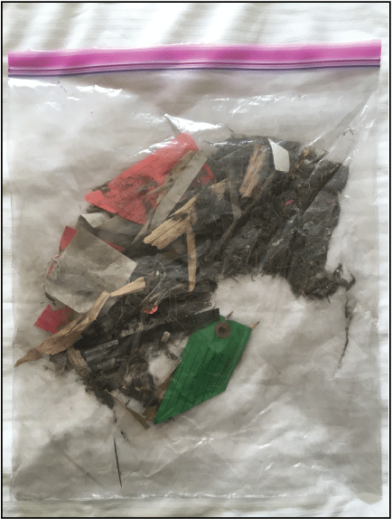 15. A 1-gallon plastic bag containing dirt (or soil), debris, trash, plant, and animal
matter.