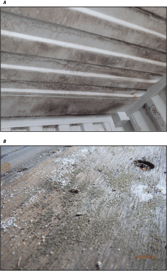 17. Mold on the ceiling and flooring of a shipping container.