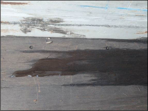 18. Water seepage pooled on the floor of a shipping container.