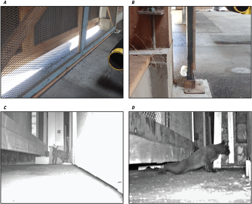21. Representations of warehouse permeability.