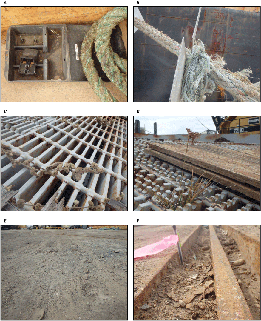 31. Photographs showing sprung snap trap, rat guard, a gangway with seed heads and
plant matter, dirt layer, and dirt depth.