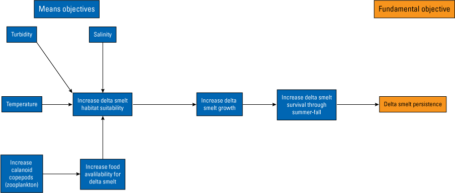 Means objectives are related and contribute toward the fundamental objective of delta
smelt persistence