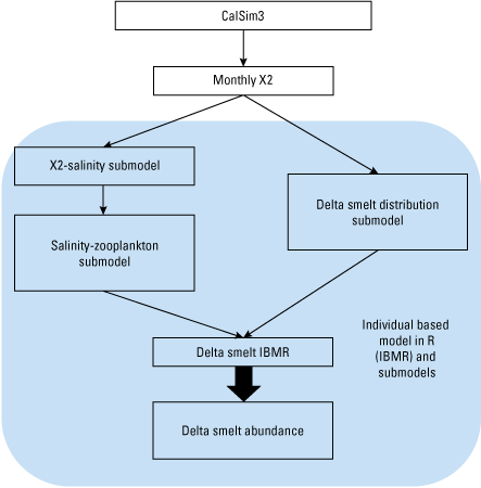 CalSim 3 data are routed through salinity, zooplankton, and distribution submodels
to generate delta smelt abundance predictions using the IBMR model