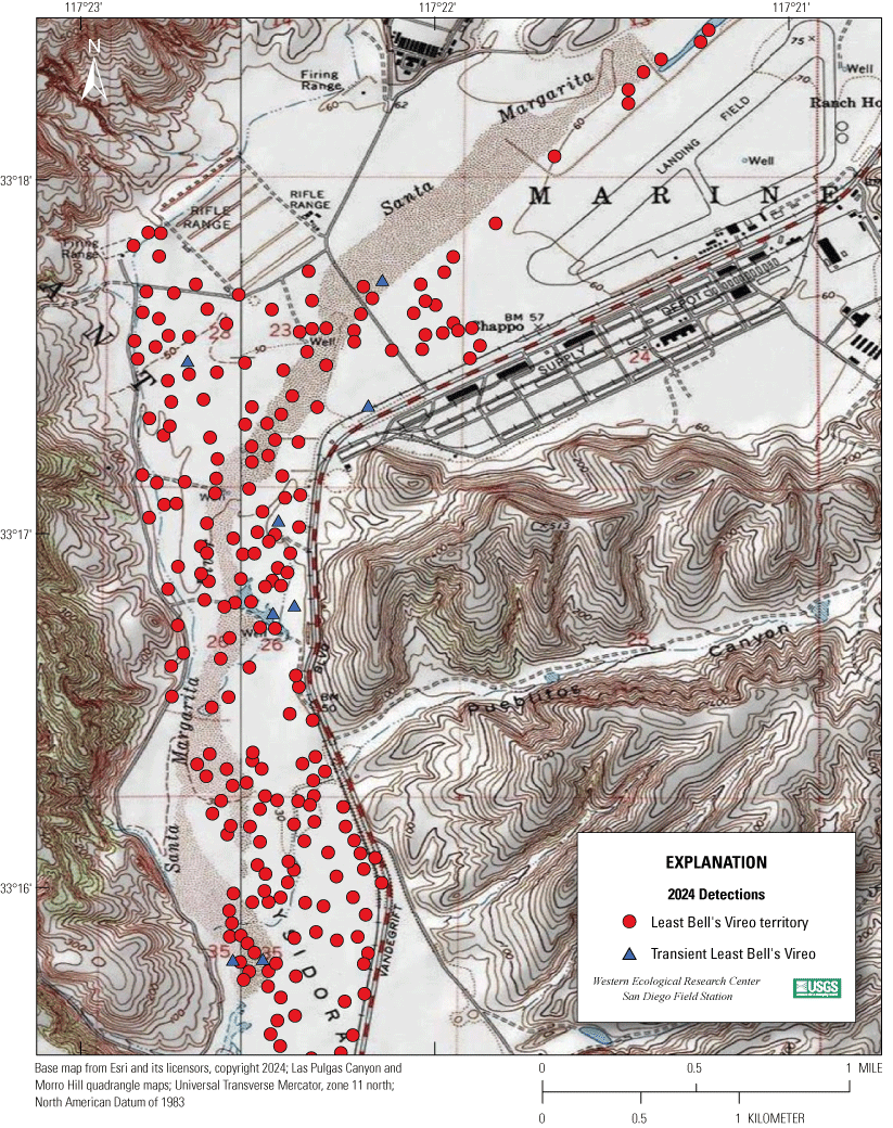 Locations of Least Bell’s Vireos at Marine Corps Base Camp Pendleton, California,
                  2024: Santa Margarita River.