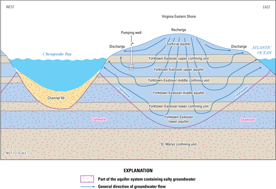 Illustration shows hydrogeologic units and groundwater flow patterns in cross section
                        for the Virginia Eastern Shore peninsula.