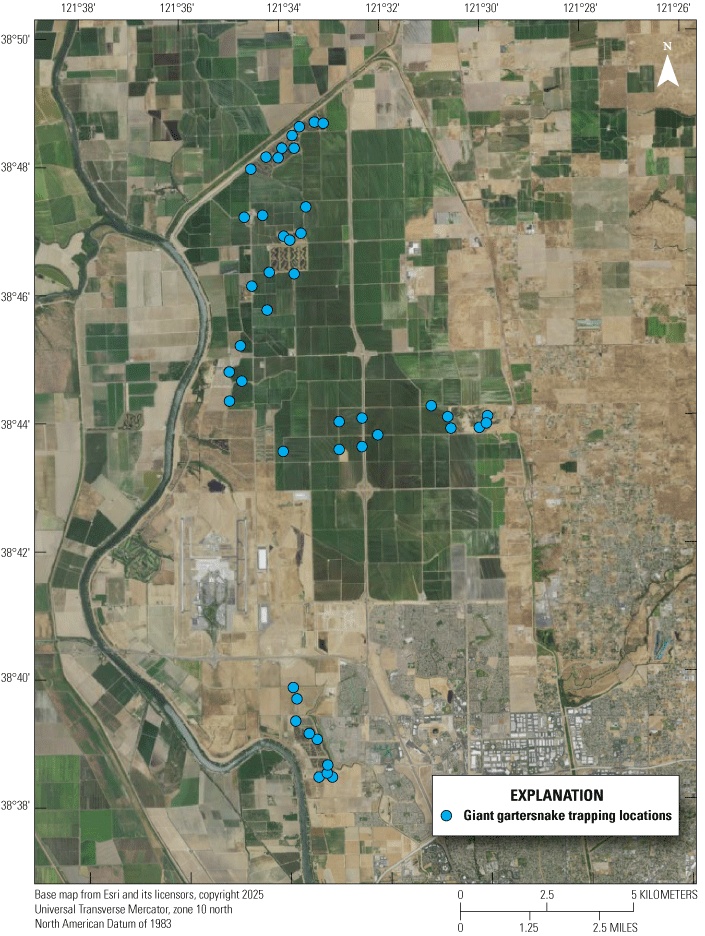 2. Three site clusters distributed in north, central, and south parts of basin; most
                        snake captures in central, none in south.
