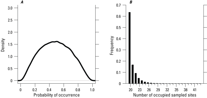 3. Bell curve peaks at 0.5 probability; bar graph peaks at 20 occupied sites, with
                        rapid decrease with greater number of sites.