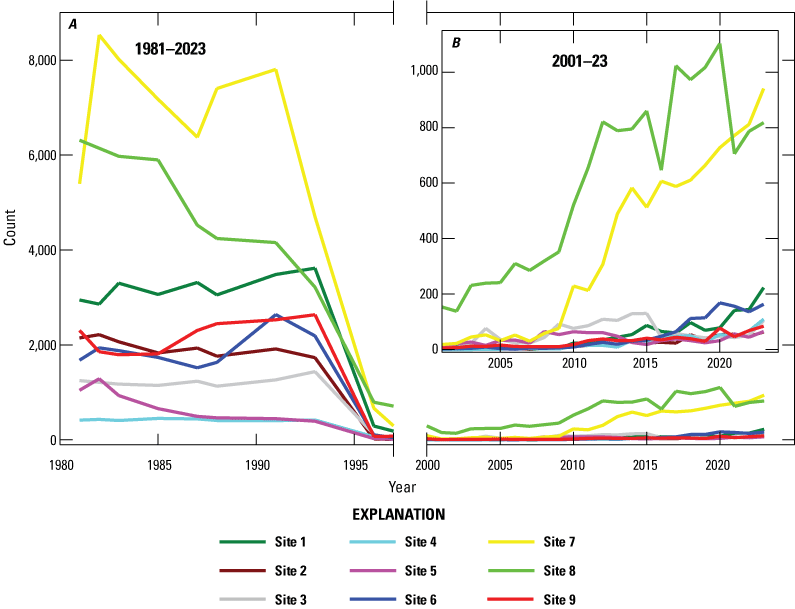 6. Counts of black abalone plotted over time, shown as separate line graphs by site.