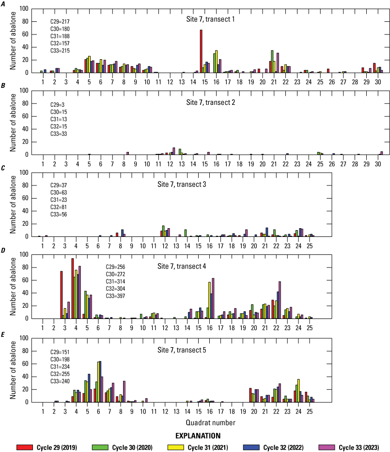 8. Counts of black abalone plotted by quadrats for each of five transects at site
7, shown as bars color coded by year.