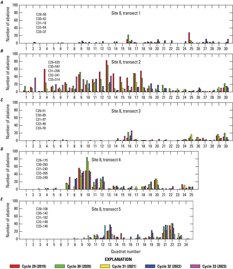 9. Counts of black abalone plotted by quadrats for each of 5 transects at site 8,
shown as bars color coded by year.
