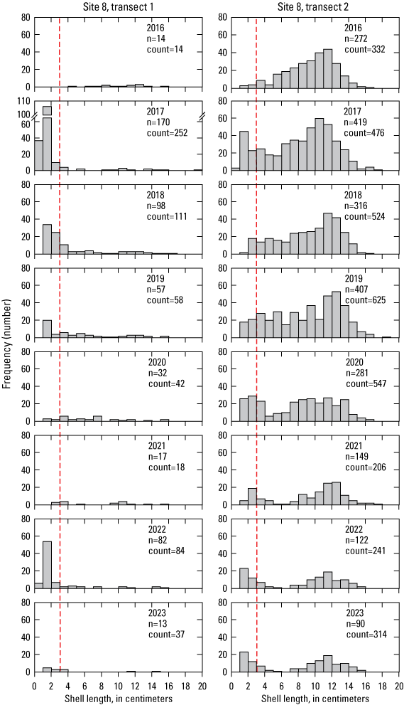 13. Distribution totals shown in histograms of shell length, shown separately for
transects 1 and 2, annually from 2016 to 2023.