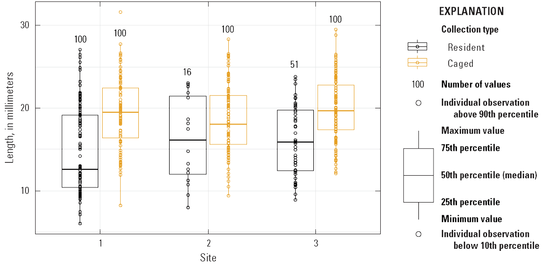 Paired boxplots of mussel shell length of resident and sentinel mussels by site.