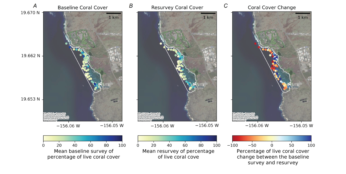 Alttext 10: The percentage of live coral cover change at Kaloko-Honokōhau National
                           Historic Park is mostly very negative, but there are a few spots near the shoreline
                           that lean positive.