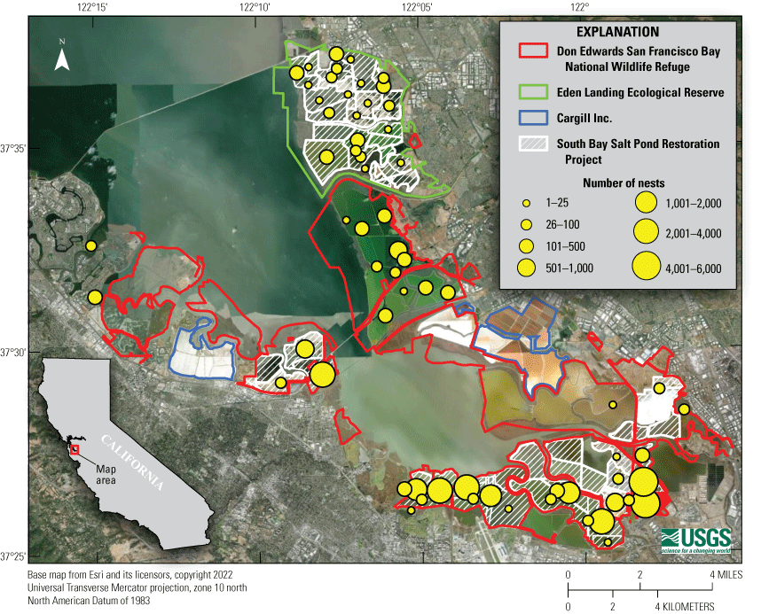1. American avocet, black-necked stilt, and Forster’s tern nest distribution, 2005
                     to 2019, 2022, and 2024.