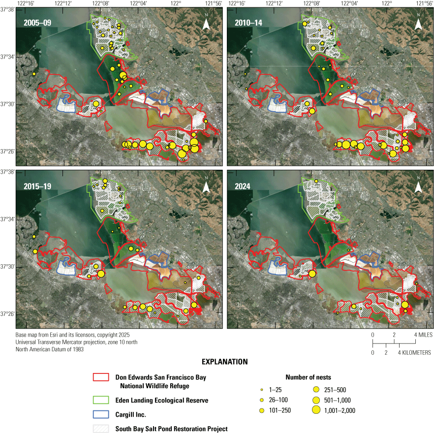 2. American avocet, black-necked stilt, and Forster’s tern nests during four periods:
                     2005 to 2009, 2010 to 2014, 2015 to 2019, and 2024.