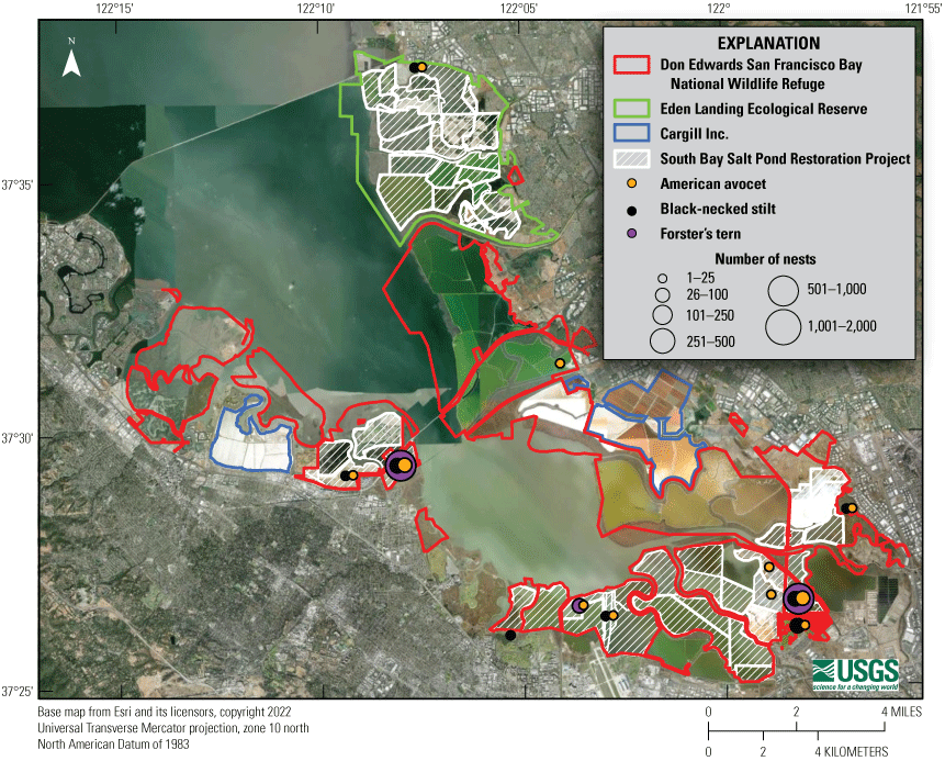 4. American avocet, black-necked stilt, and Forster’s tern nests in south San Francisco
                        Bay in 2024.