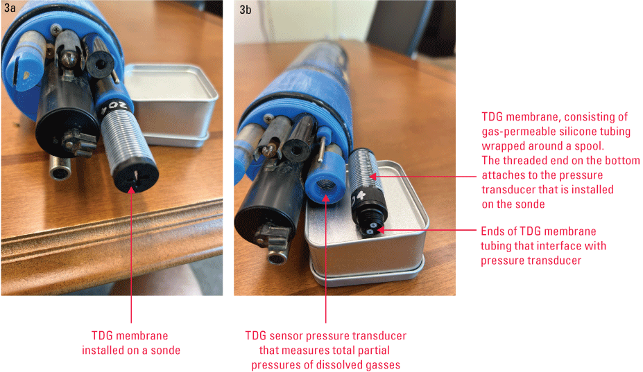 Photographs of the total dissolved gas membrane.