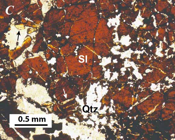 Massive sphalerite with discordant pale zones in a quartz-carbonate gangue (from Chapter A, Figure 10C) 