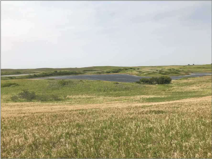 Ground-level view of the Cottonwood Lake study area.