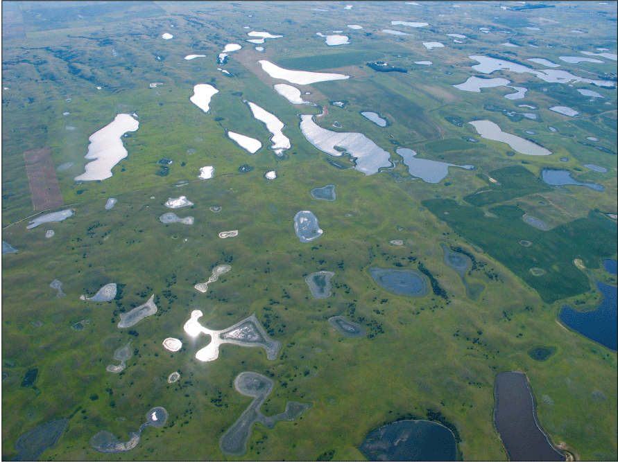 Aerial view of prairie-pothole wetlands.