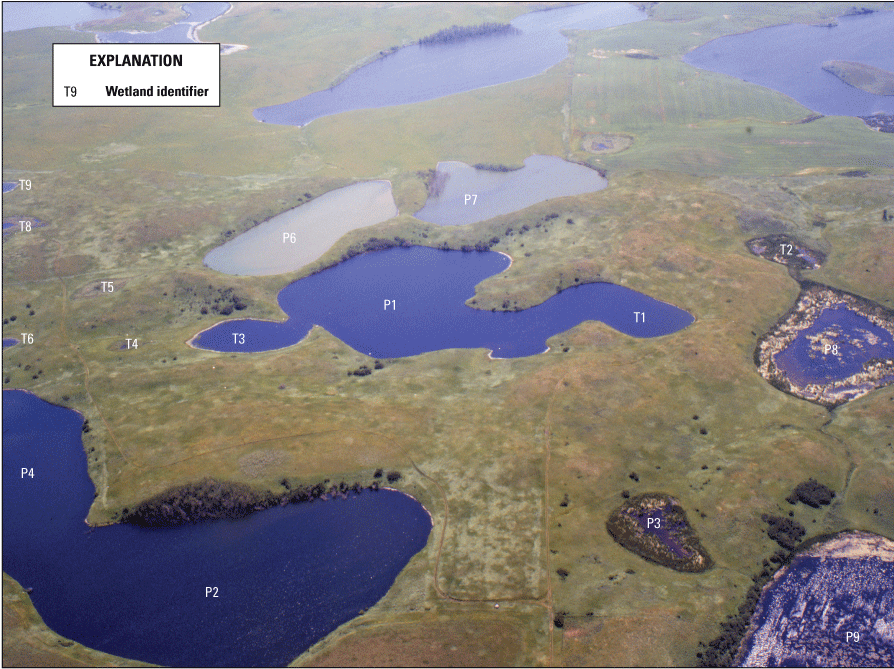 Aerial view of Cottonwood Lake study area wetlands.