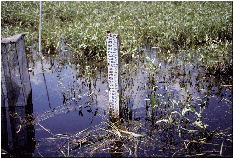 A staff gauge at the Cottonwood Lake study area.