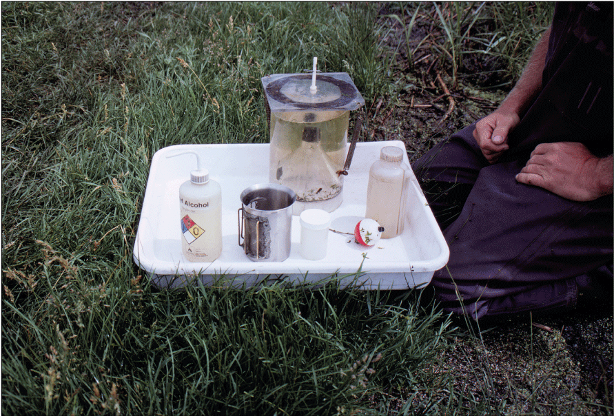 An activity trap used to sample aquatic invertebrates.