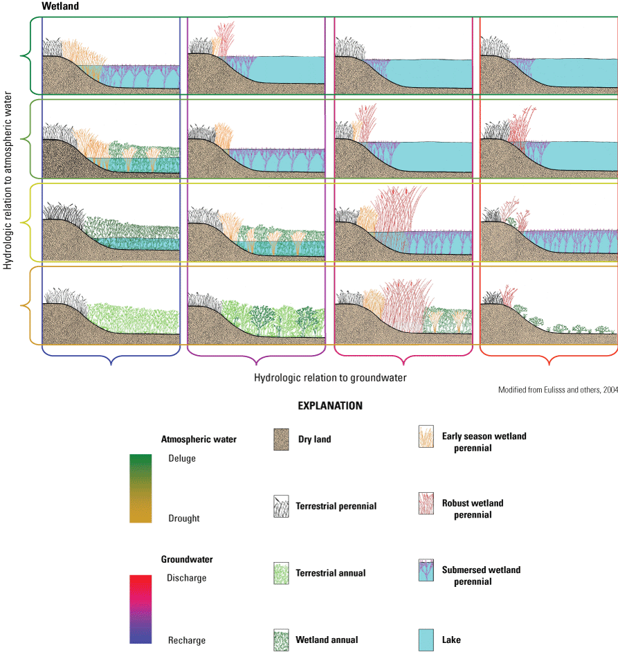The wetland continuum framework.