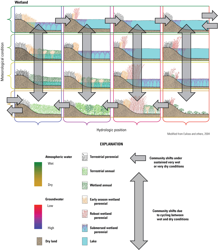 A revision of the wetland continuum framework.