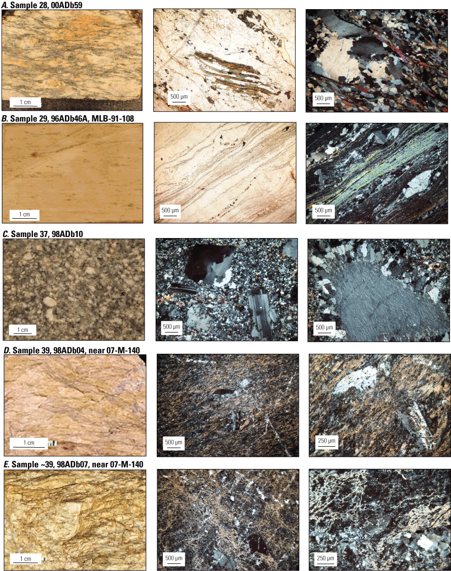 Representative photographs and photomicrographs of selected metaigneous rocks from
the Ladue River unit, Klondike assemblage, Permian dike, and Seventymile terrane in
east-central Alaska and western Yukon analyzed for U-Pb zircon geochronology and whole-rock
geochemistry. Sample numbers and field numbers are given. For each sample, the left
column shows a photograph of the cut face of the hand sample (duplicate field numbers
indicate different samples from same locality were collected for dating and whole-rock
geochemistry) and the middle and right columns show transmitted-light photomicrographs
(using either plane-polarized or cross-polarized light) of a thin section cut from
the hand sample. A, Sample 28 is a retrograded augen gneiss showing ovoid areas of quartz and potassium-feldspar.
Plane-polarized-light photomicrograph shows retrograde replacement of dark brown biotite
folia with interlayered green chlorite and white muscovite folia (lower part of middle
image) and high-relief secondary epidote granules (upper right). Cross-polarized-light
photomicrograph (right image) from a different area of the thin section shows sutured
margins of a polycrystalline quartz grain (gray and white) with white mica (magenta)
and fine-grained quartz. B, Sample 29 is a quartz-muscovite schist that we interpret to be a recrystallized
metarhyolite. Paired photomicrographs show a polysynthetically twinned feldspar grain
(phenocryst?) in upper left, a lamina of finely polygonized quartz, a 500-micrometer
(µm)-thick layer of white mica (blue interference color), and an ovoid polycrystalline
quartz augen (recrystallized quartz phenocryst?) in the lower right. C, Sample 37 is an undeformed granodiorite dike. Cross-polarized-light photomicrographs
show two different areas of the thin section. In the middle image, note polysynthetically
twinned feldspar laths and a quartz grain (black and gray interference color in upper
left) within a fine-grained matrix of quartz, biotite, and muscovite. Right image
shows an uncommon corona (rapakivi-like texture) in which an approximately 1.3-millimeter
perthitic potassium-feldspar grain is surrounded by a corona composed of a mosaic
of small perthite and plagioclase grains. D, Sample 39 is a fine-grained, foliated, quartz-sericite rock. Cross-polarized-light
photomicrograph in middle shows a fine-grained, quartz (gray) and sericite (orange)
phyllitic matrix that contains several approximately 0.6-millimeter-long twinned feldspar
phenocrysts and is crosscut by narrow quartz veins. Higher magnification cross-polarized-light
photomicrograph on right shows twinned feldspar laths that indicate a volcanic rather
than sedimentary origin for this siliceous unit. E, Sample ~39 (collected near sample 39) is a fine-grained, foliated, quartz-sericite
rock. Cross-polarized-light photomicrograph in middle shows fine-grained quartz (light
gray), subhedral feldspar (dark gray at bottom), and laminae of sericite (yellowish
tan). Higher magnification cross-polarized-light photomicrograph on right shows a
different area of the thin section. cm, centimeter; µm, micrometer.