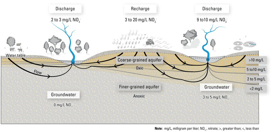 Example of how shallow oxic and deeper anoxic groundwater flow paths result in differing
                        nitrate contributions to streamflow.