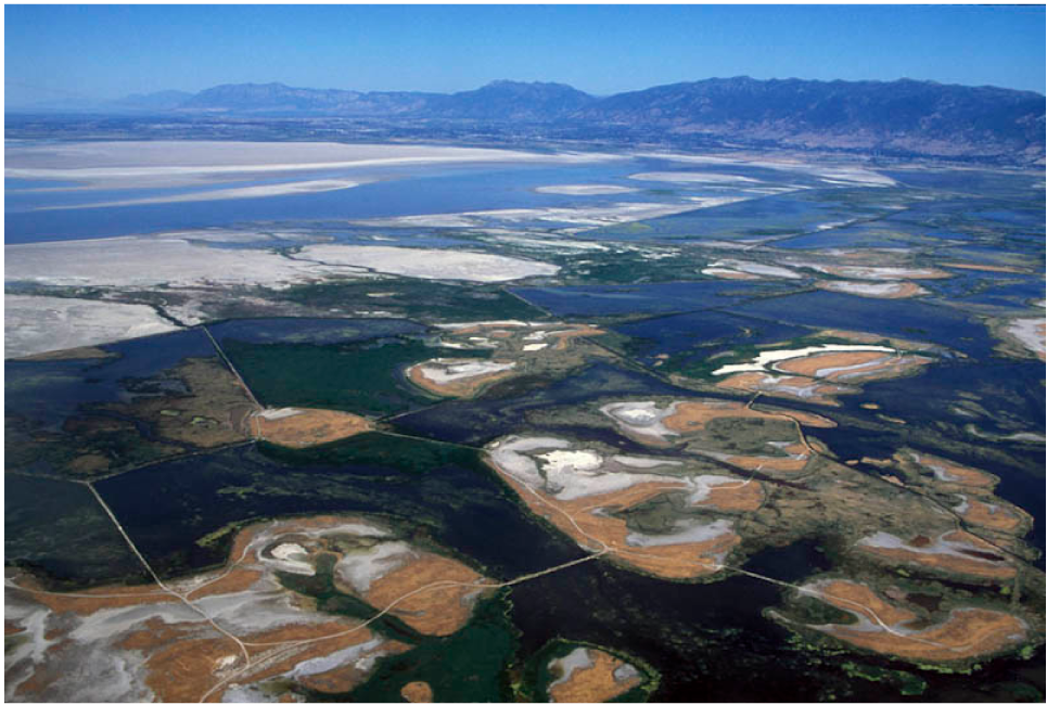 Aerial photograph salt-encrusted islands surrounded by wetlands adjacent to the Great
                        Salt Lake.