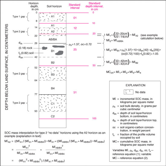 Representative pedon profile for a soil series. For a more detailed explanation, contact Helaine Markewich at helainem@usgs.gov.