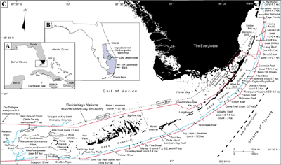 Summary Illustration index map: A summary illustration index map (A, B, and C) shows geography in the Florida Keys area.