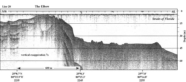 Example of the high-quality seismic profiles (1997) used in this project.