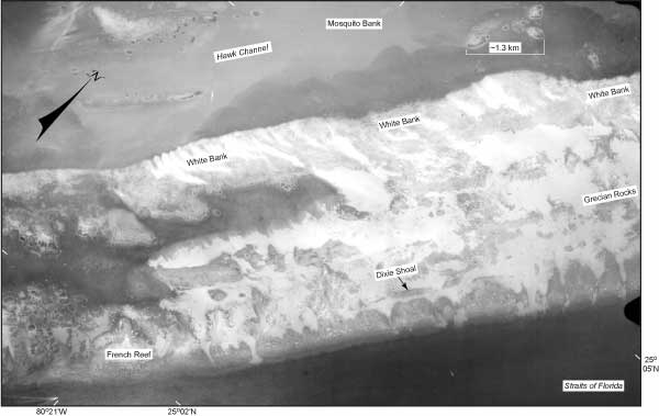 Sample photomosaic (1975) shows seabed features in the vicinity of White Bank and French Reef off the upper Keys.