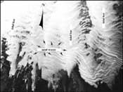 A pre-1990 aerial photo shows shallow, 1-meter-high tidal bars and perpendicular sand waves near the west side of the Marquesas Keys in the Gulf of Mexico