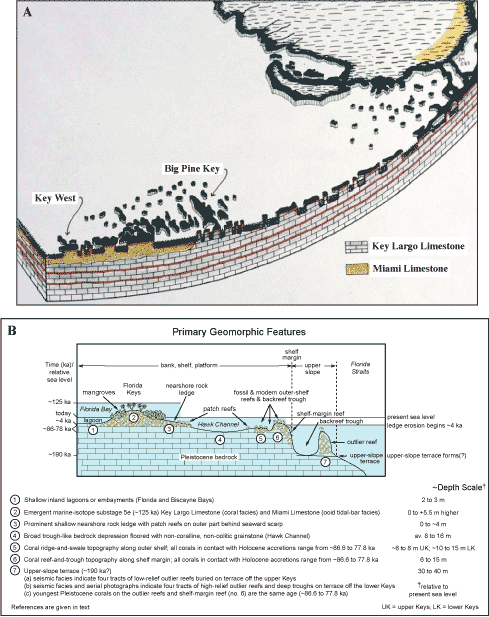Schematic drawing and schematic cross section (not to scale) illustrates the seven primary bedrock features along the south Florida shelf