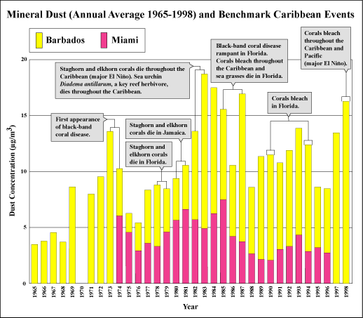 Average African dust concentrations measured in Miami and Barbados (Windward Islands) and major events that occurred in reef organisms in the Florida-Caribbean region