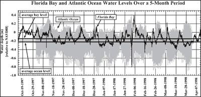 Graph shows five-month plot of water-level fluctuations in Florida Bay and the Atlantic Ocean