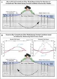 Conceptual models show bay-to-ocean groundwater flow during a falling and rising ocean tide.