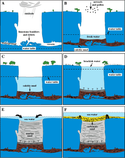 Model shows inferred depositional history of sediments in sinkhole 