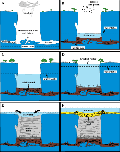 Model shows inferred depositional history of sediments in sinkhole.