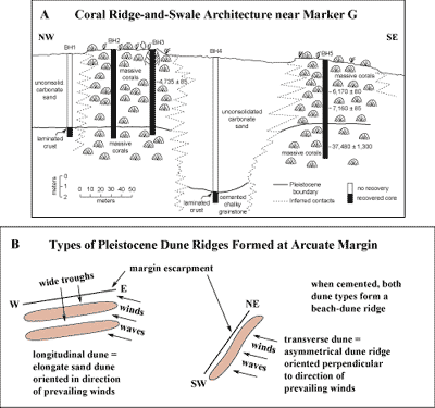 (A) Cross section of core transect across two rock ridges inshore from Marker G in the lower Keys. (B) Cemented beach-dune ridges are thought to underlie the coral ridges shelf-wide.