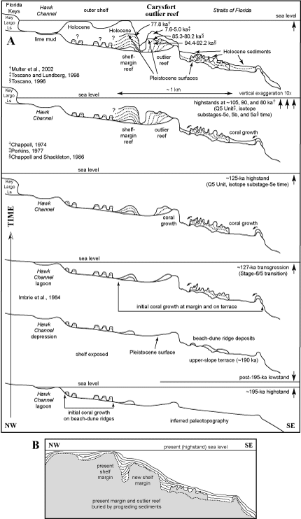 Model shows shelf and margin evolution in the area of Carysfort Reef