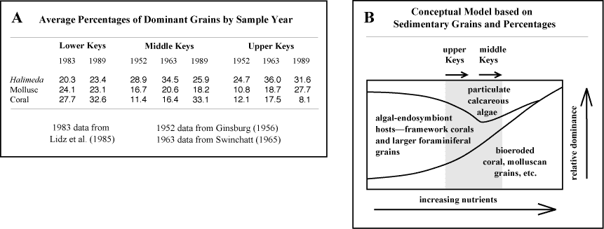 (A) Summary of petrologic data averaged by sample year for upper, middle, and lower Keys. (B) Conceptual nutrient-effect model predicts effects of nutrification (increasing nutrients) on skeletal sedimentary components in a reef ecosystem (adapted from Hallock, 1988, and Hallock <abbr title=