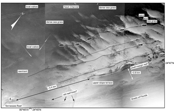 Aerial photo (1975) shows seafloor morphology in vicinity of Tennessee Reef