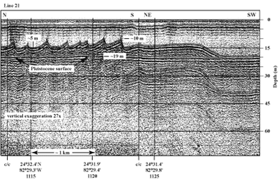 Profile of sand waves on channel bottom west of Halfmoon Shoal in the Gulf of Mexico
